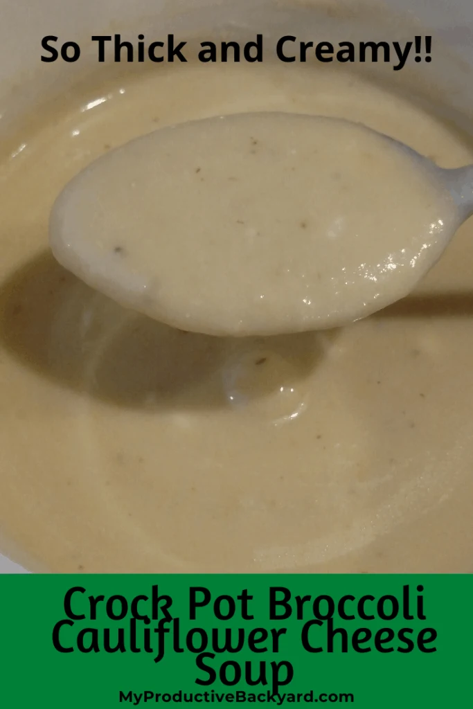 Crock Pot Broccoli Cauliflower Cheese Soup