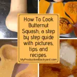How To Cook Butternut Squash