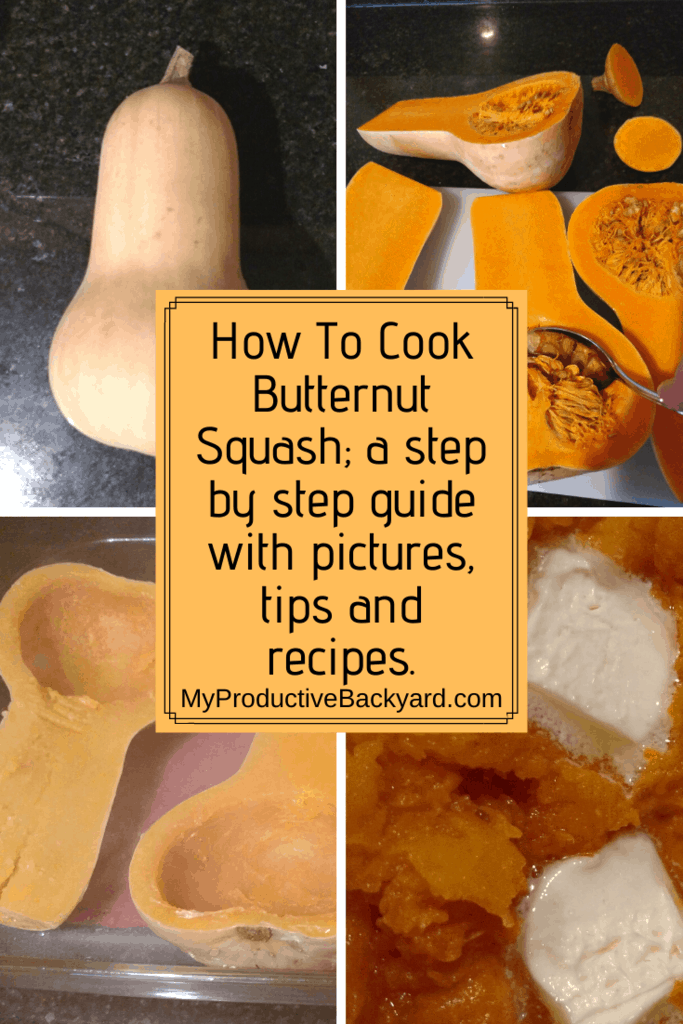 How To Cook Butternut Squash