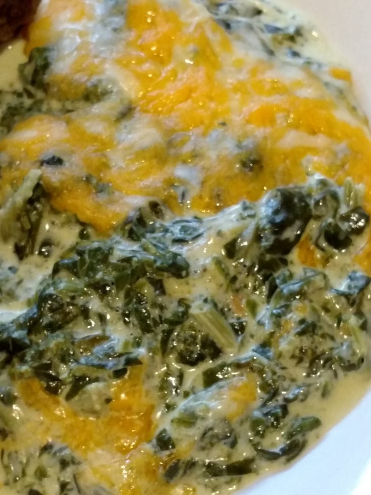 Creamy Spinach Cheese Bake - My Productive Backyard