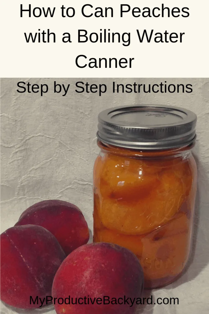 How to Can Peaches with a Boiling Water Canner
