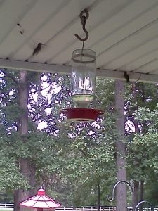 2 hummingbirds at a feeder hanging from a porch roof.