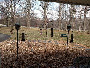 looking out a window at several birdfeeders and yard. 