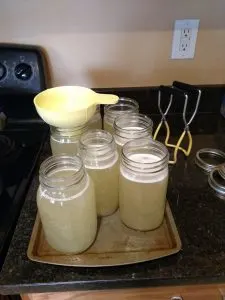 chicken broth in jars