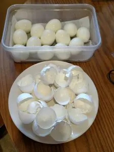 hard boiled eggs and the peels in halves to show how well they peeled