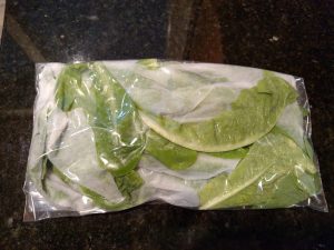 lettuce and paper towels in a Ziploc bag.