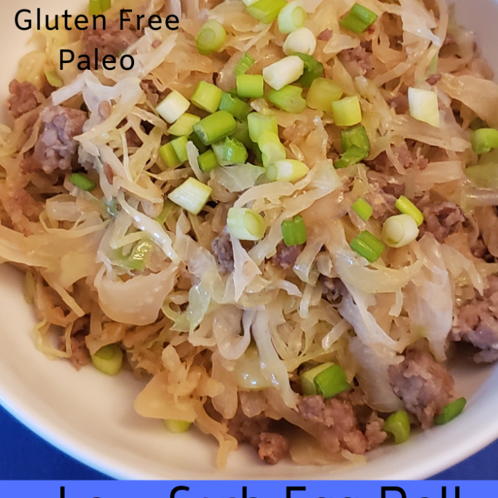 Low Carb Egg Roll in a Bowl