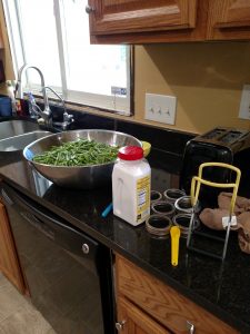 bowl of green beans and canning supplies laid out on counter.