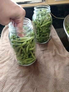 hand packing green beans into canning jar.