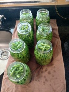 water added to canning jars.