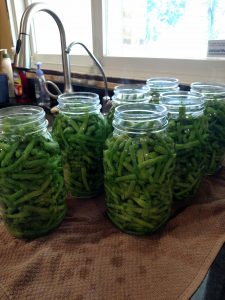 another look at water in canning jars of green beans.