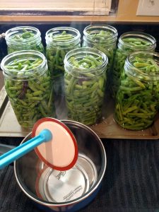 taking out a lid of canning jar with magnetic canning tool. 