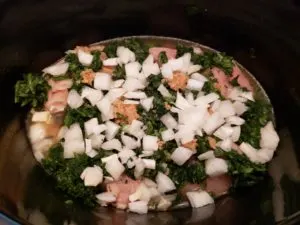 chicken, onion, spinach and broth in crock pot before cooking