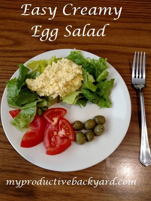 Easy Creamy Egg Salad