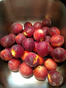 beautiful peaches in the sink ready to wash.