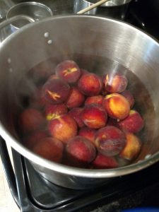 peaches in pot of hot water.