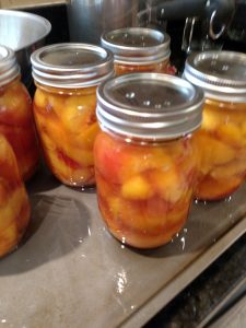 lids and rings on jars and ready for canner.