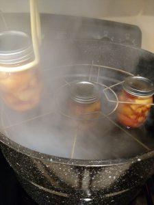 lifting the third pint of peaches into the water bath canner.