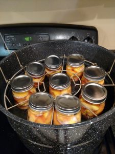 9 pints of peaches in water bath canner.