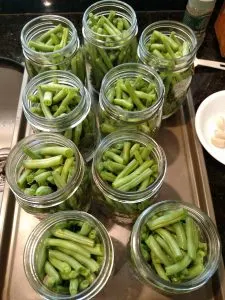 green beans in canning jars