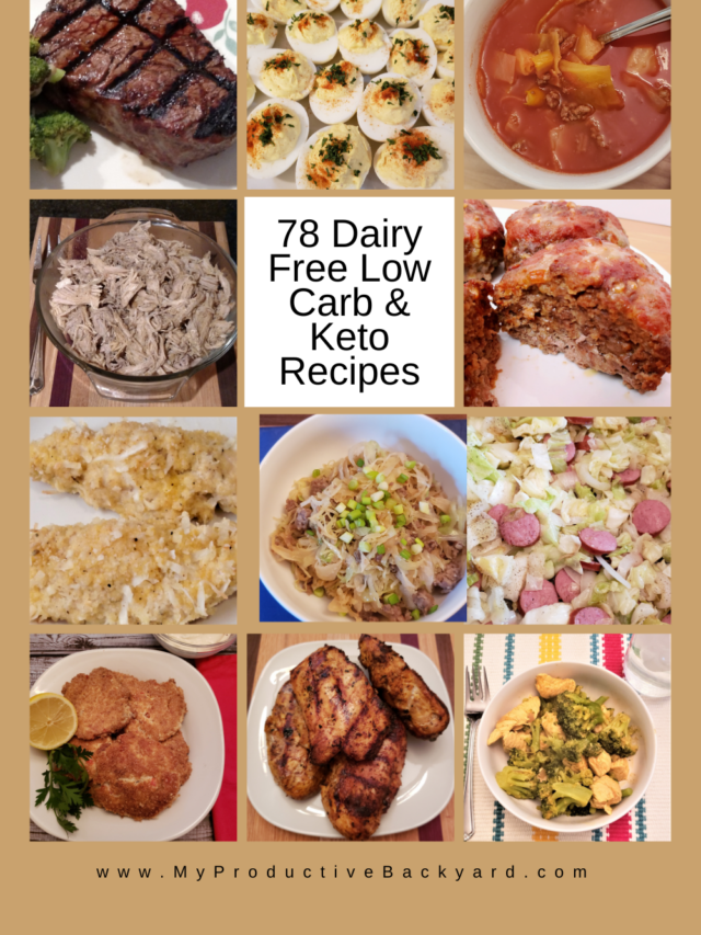 78 Dairy Free Low Carb Keto Recipes - My Productive Backyard