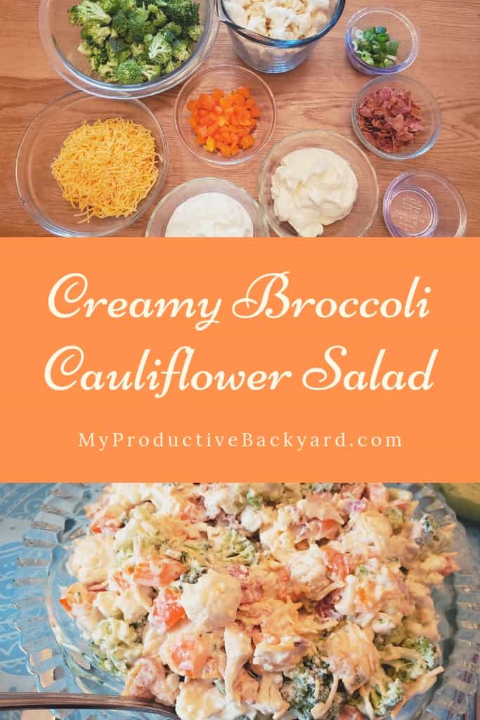 Creamy Broccoli Cauliflower Salad