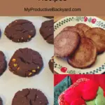33 Low Carb Keto Cookie Recipes Pinterest Pin
