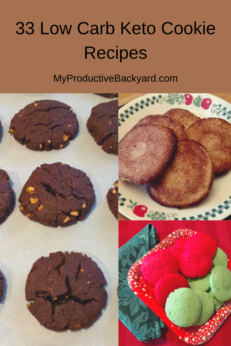 33 Low Carb Keto Cookie Recipes - My Productive Backyard