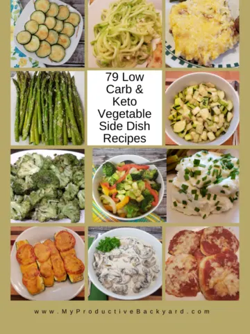 79 Low Carb Keto Vegetable Side Dish Recipes Pinterest Pin