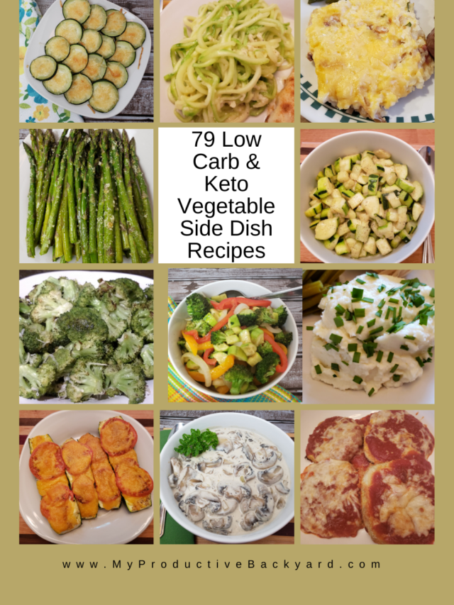 79 Low Carb Keto Vegetable Side Dish Recipes - My Productive Backyard