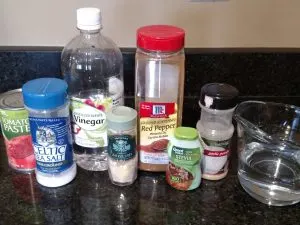 ingredients for Low carb no cook ketchup