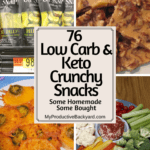 76 Low Carb Keto Crunchy Snacks Pinterest pin