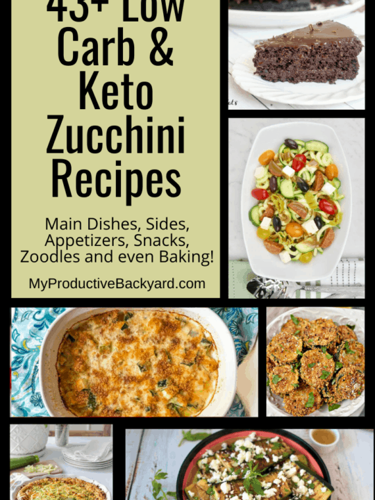 43 Low Carb Keto Zucchini Recipes