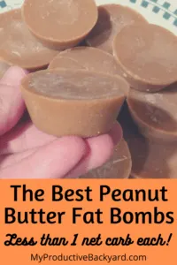 The Best Peanut Butter Fat Bombs 