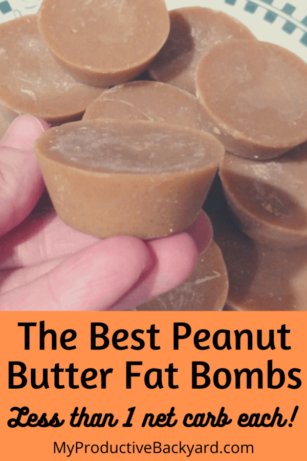 The Best Peanut Butter Fat Bombs My Productive Backyard