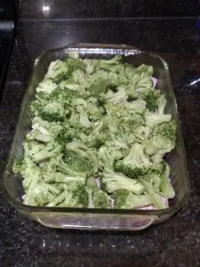 broccoli in baking dish