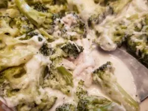 Low Carb Chicken Broccoli Alfredo Casserole