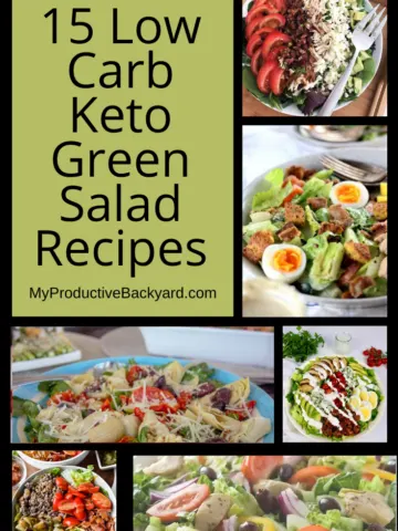 15 Low Carb Keto Green Salad Recipes Pinterest Pin
