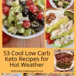 53 Cool Low Carb Keto Recipes for Hot Weather