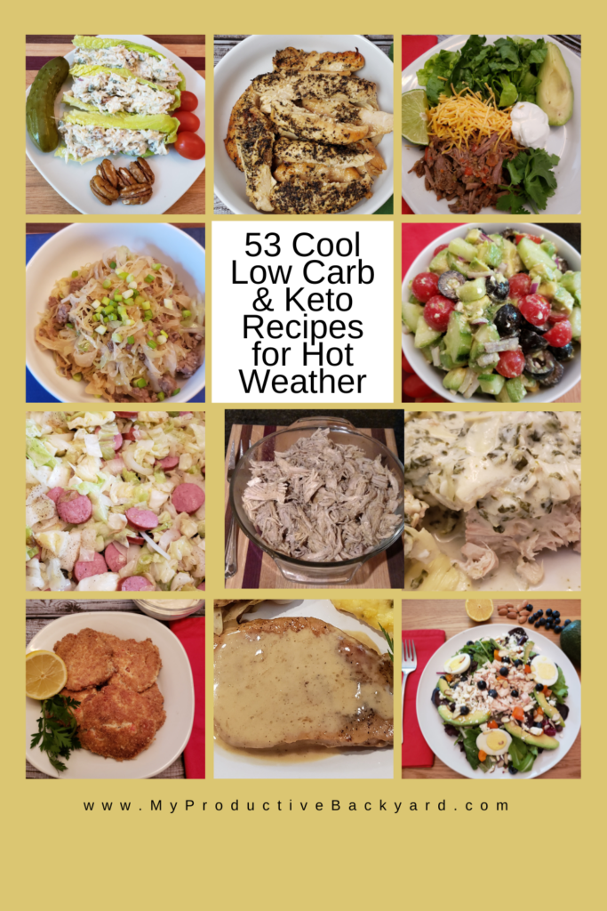 53 Cool Low Carb Keto Recipes for Hot Weather Pinterest Pin