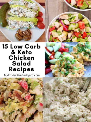 15 Low Carb Keto Chicken Salad Recipes Pinterest Pin