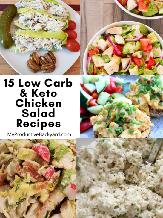 15 Low Carb Keto Chicken Salad Recipes