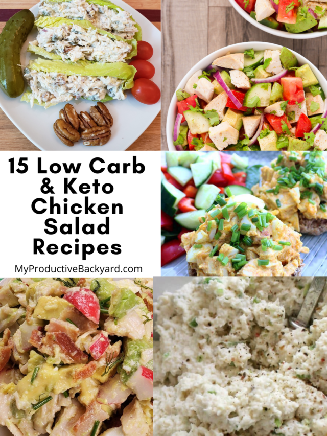 15 Low Carb Keto Chicken Salad Recipes - My Productive Backyard
