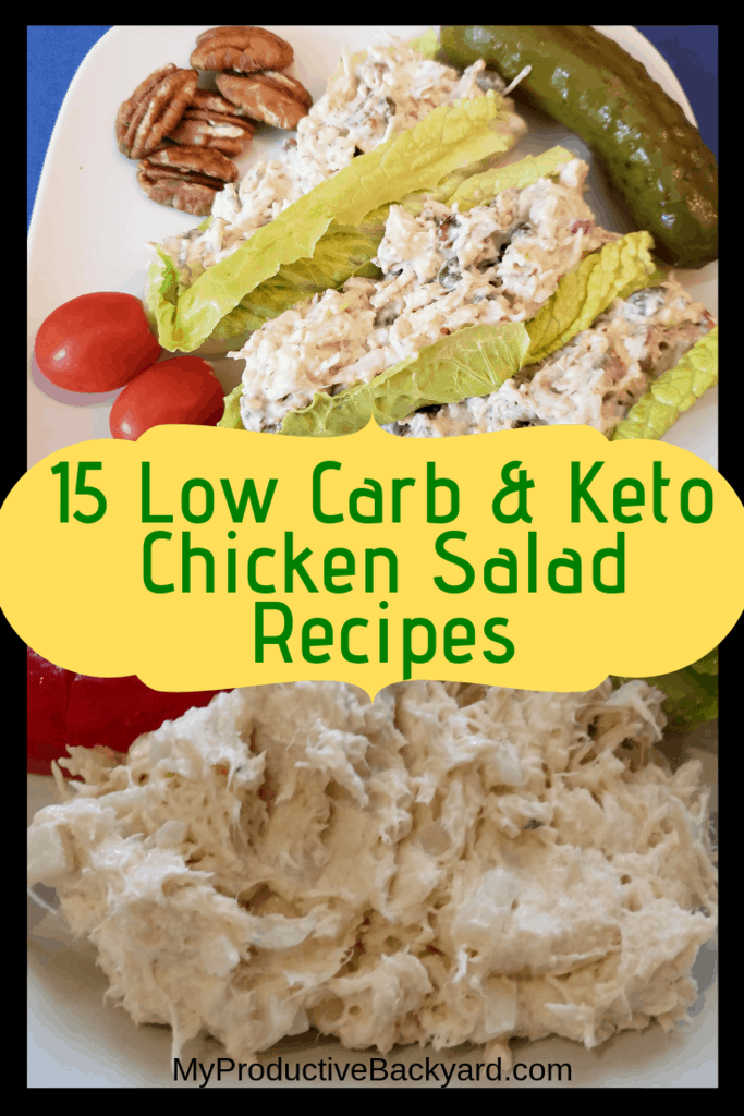 15 Low Carb Keto Chicken Salad Recipes - My Productive Backyard