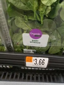 Baby Spinach