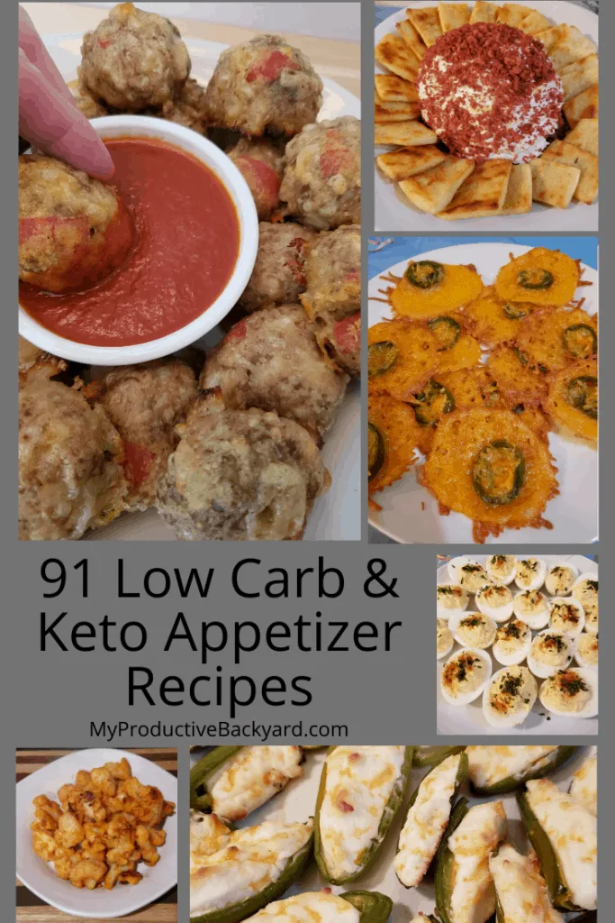 91 Low Carb Keto Appetizer Recipes Pinterest Pin