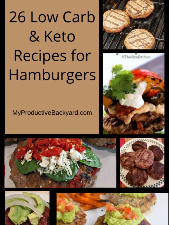 26 Low Carb Keto Recipes for Hamburgers