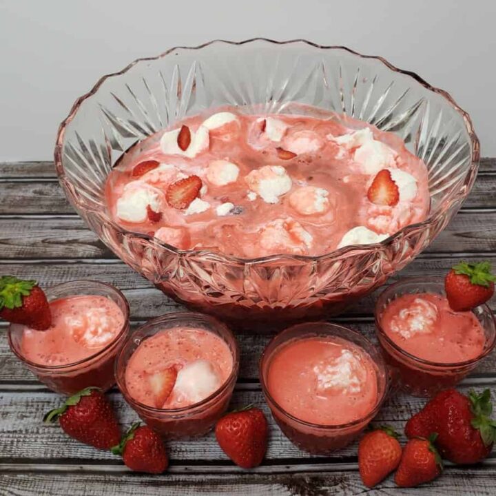 Low Carb Holiday Fruit Punch