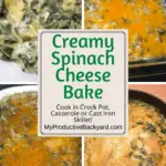 Creamy Spinach Cheese Bake Pinterest pin