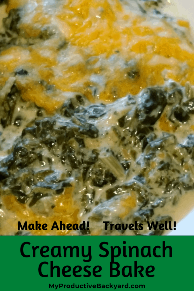 Creamy Spinach Cheese Bake - My Productive Backyard